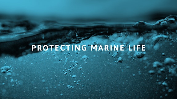 Bilde 1 av 3 i jobbannonse-galleriet