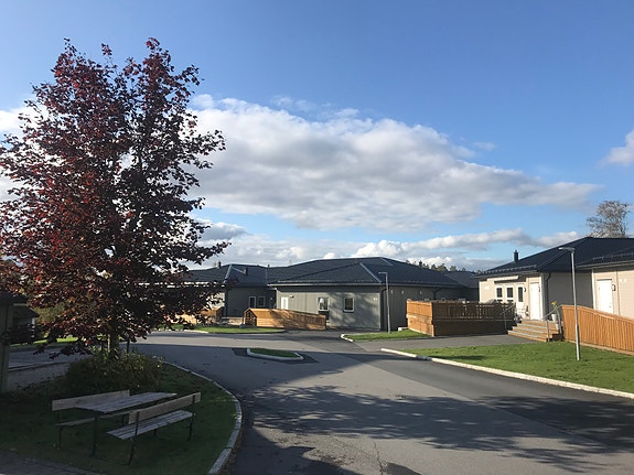 Bilde 10 av 10 i jobbannonse-galleriet