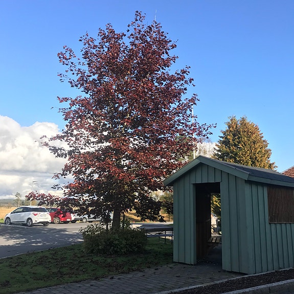 Bilde 8 av 10 i jobbannonse-galleriet