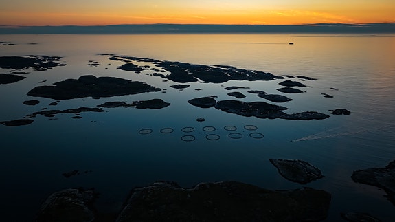 Bilde 4 av 6 i jobbannonse-galleriet