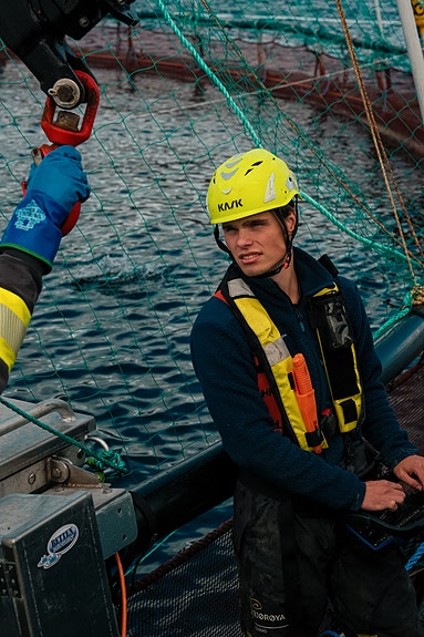 Bilde 1 av 6 i jobbannonse-galleriet