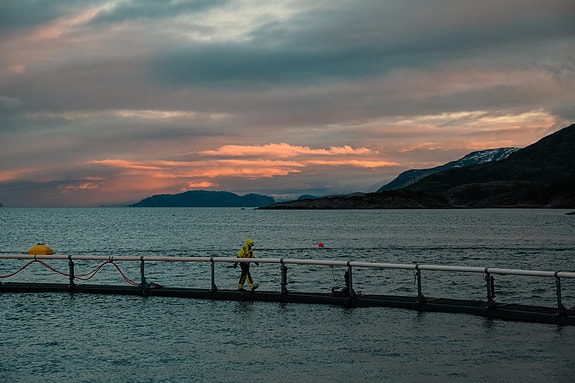 Bilde 2 av 6 i jobbannonse-galleriet