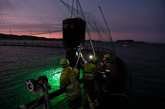 Bilde 6 av 6 i jobbannonse-galleriet