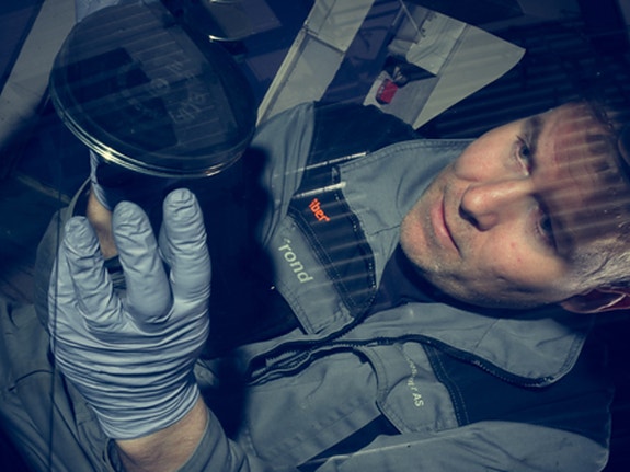 Bilde 1 av 1 i jobbannonse-galleriet