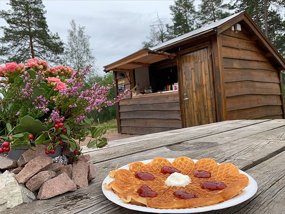 Bilde 3 av 3 i jobbannonse-galleriet