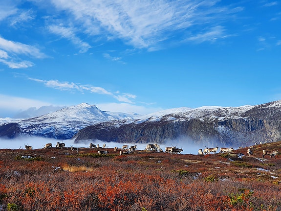 Bilde 4 av 4 i jobbannonse-galleriet
