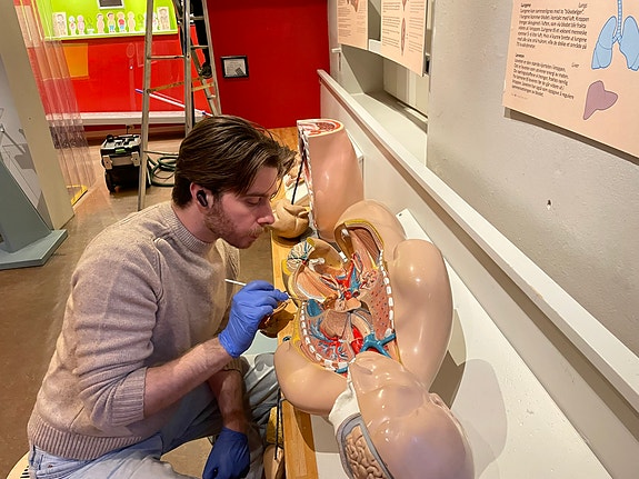 Du må bidra med vedlikehold av våre utstillinger.