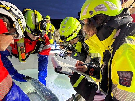 Bilde 9 av 10 i jobbannonse-galleriet