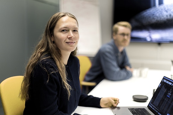 Bilde 4 av 10 i jobbannonse-galleriet