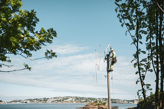Bilde 1 av 1 i jobbannonse-galleriet