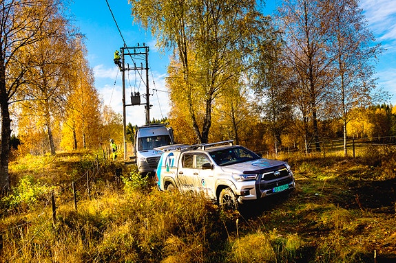 Bilde 2 av 3 i jobbannonse-galleriet