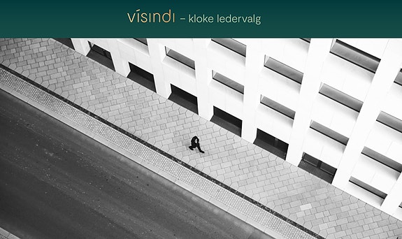 Bilde 1 av 1 i jobbannonse-galleriet