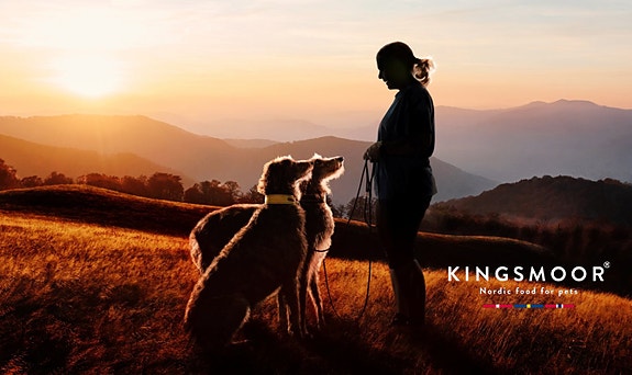 Bilde 4 av 4 i jobbannonse-galleriet