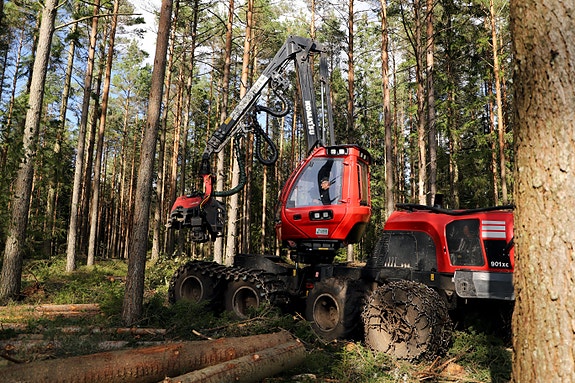 Bilde 6 av 7 i jobbannonse-galleriet