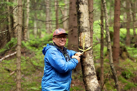Bilde 3 av 8 i jobbannonse-galleriet