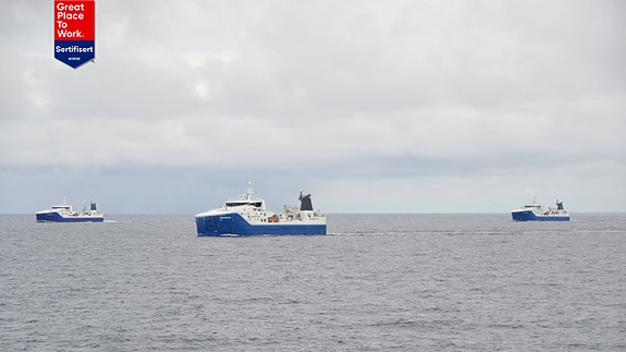 Bilde 1 av 1 i jobbannonse-galleriet