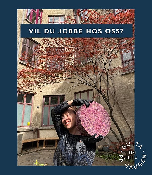 Bilde 1 av 3 i jobbannonse-galleriet