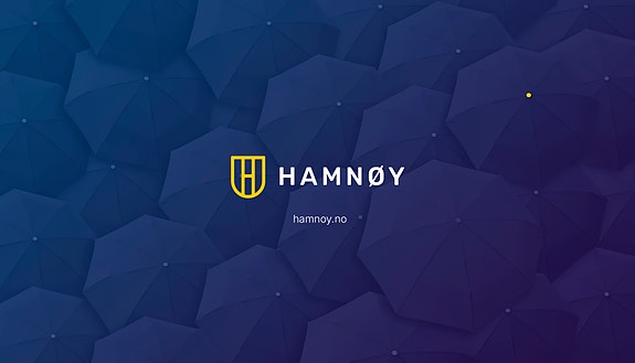 HAMNØY AS logo