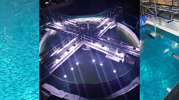 Bilde 1 av 1 i jobbannonse-galleriet