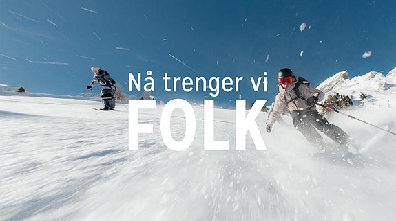 Bilde 1 av 1 i jobbannonse-galleriet