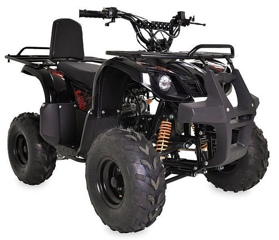 X-PRO Worker 110cc
