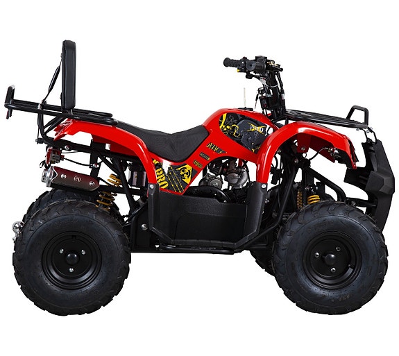 X-PRO Worker 110cc 9 of 14