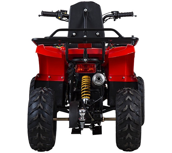 X-PRO Worker 110cc 11 of 14