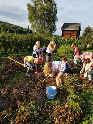 Bilde 3 av 7 i jobbannonse-galleriet