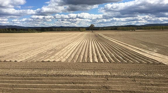 Bilde 1 av 4 i jobbannonse-galleriet