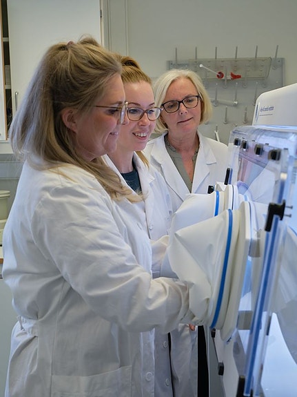 Bilde 3 av 5 i jobbannonse-galleriet