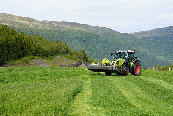 Bilde 6 av 7 i jobbannonse-galleriet