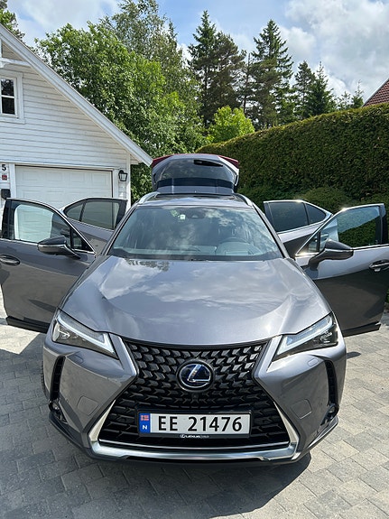 Lexus UX300e 6 of 30