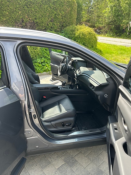 Lexus UX300e 9 of 30