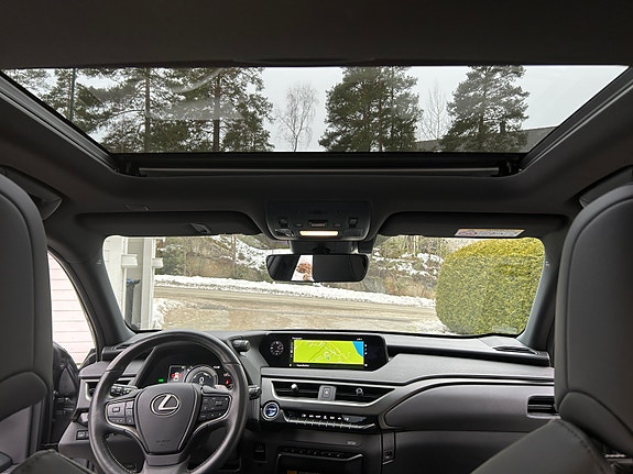 Lexus UX300e 15 of 30