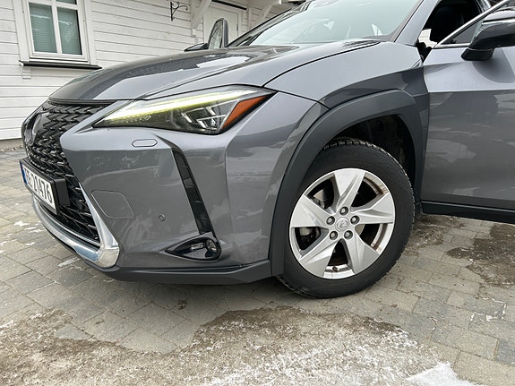 Lexus UX300e 19 of 30