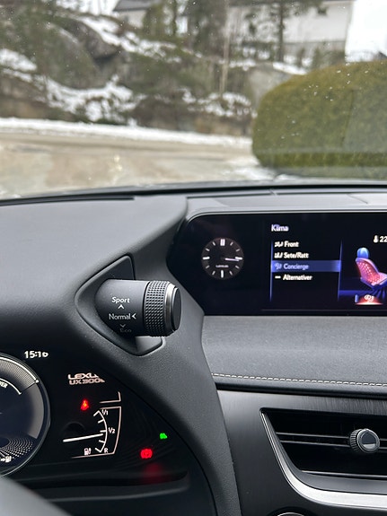 Lexus UX300e 24 of 30