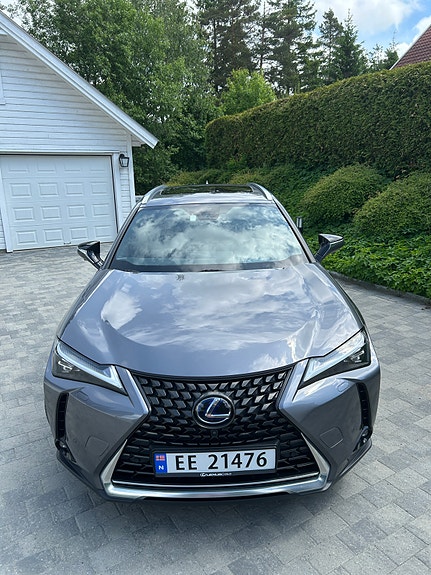 Lexus UX300e 2 of 30