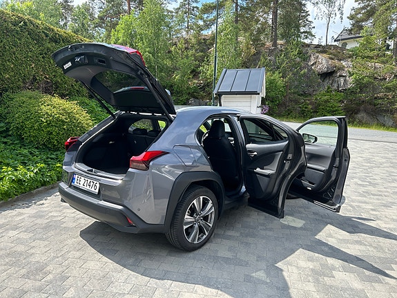 Lexus UX300e 8 of 30