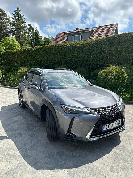 Lexus UX300e 3 of 30