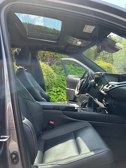 Lexus UX300e 10 of 30