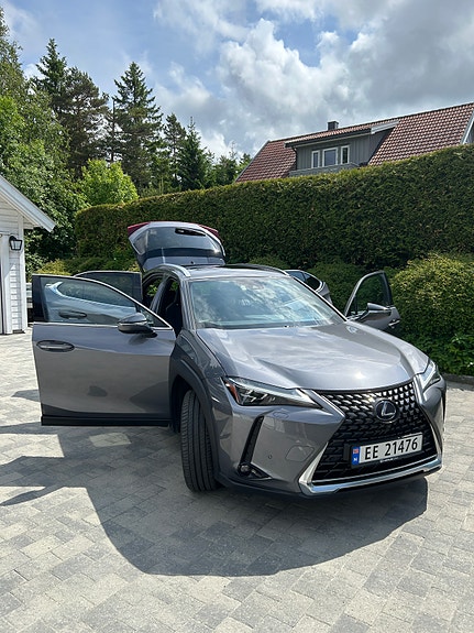 Lexus UX300e 4 of 30