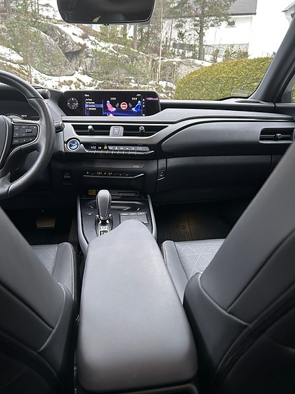Lexus UX300e 29 of 30