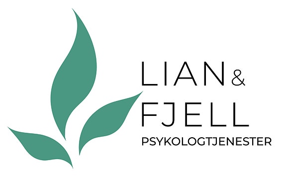 LIAN & FJELL AS logo