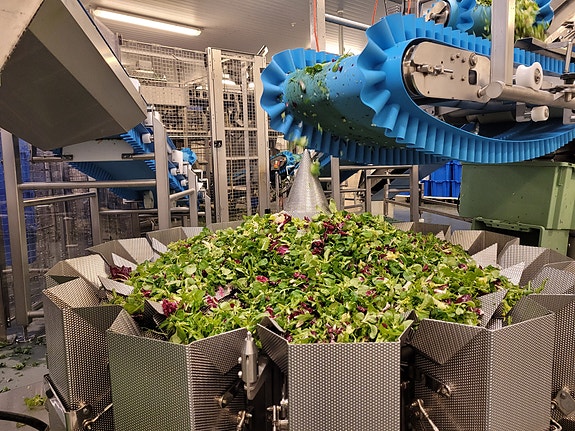 Bilde 4 av 5 i jobbannonse-galleriet