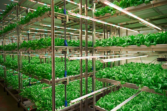 Bilde 1 av 5 i jobbannonse-galleriet