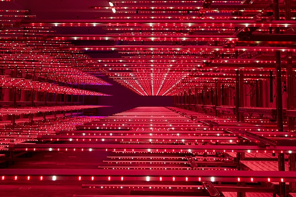 Bilde 2 av 5 i jobbannonse-galleriet