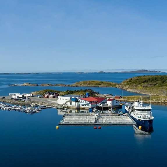 Bilde 1 av 4 i jobbannonse-galleriet