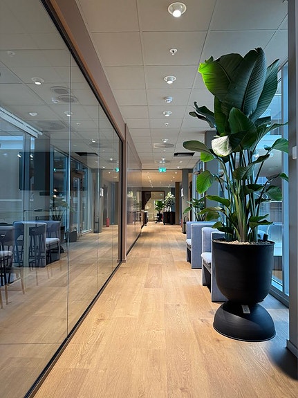 Bilde 3 av 10 i jobbannonse-galleriet