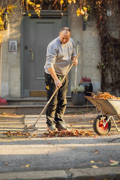 Bilde 2 av 7 i jobbannonse-galleriet