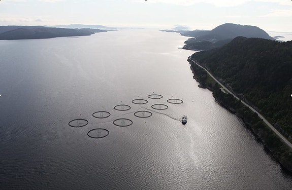 Bilde 1 av 3 i jobbannonse-galleriet